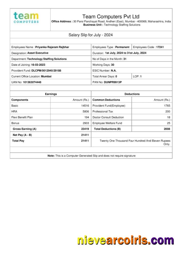 Team Computers salary slip